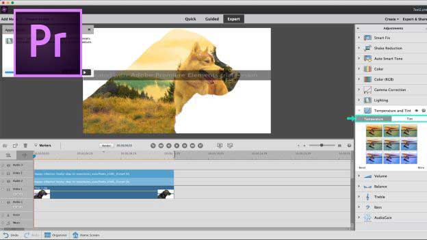 best video editing software: Adobe Premiere Elements screenshot and logo