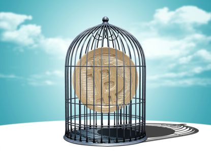 Bitcoin in a birdcage