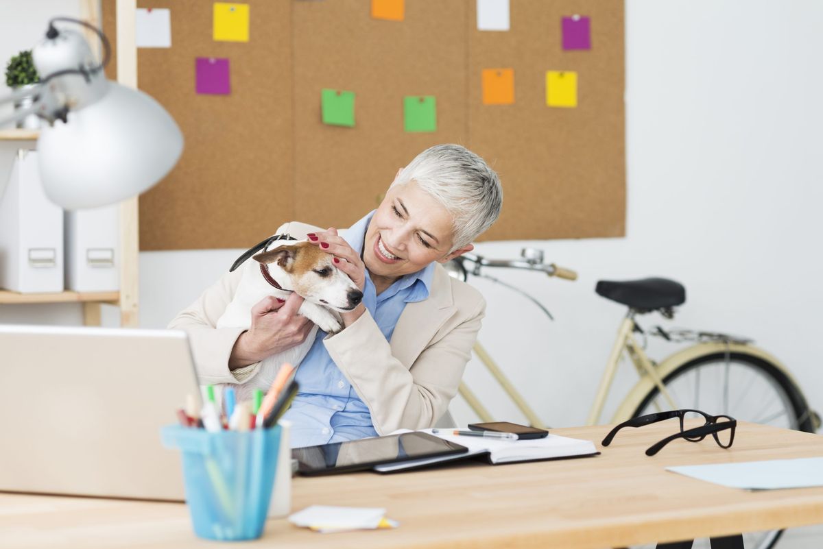How dogs could be key to reducing workplace anxiety and stress