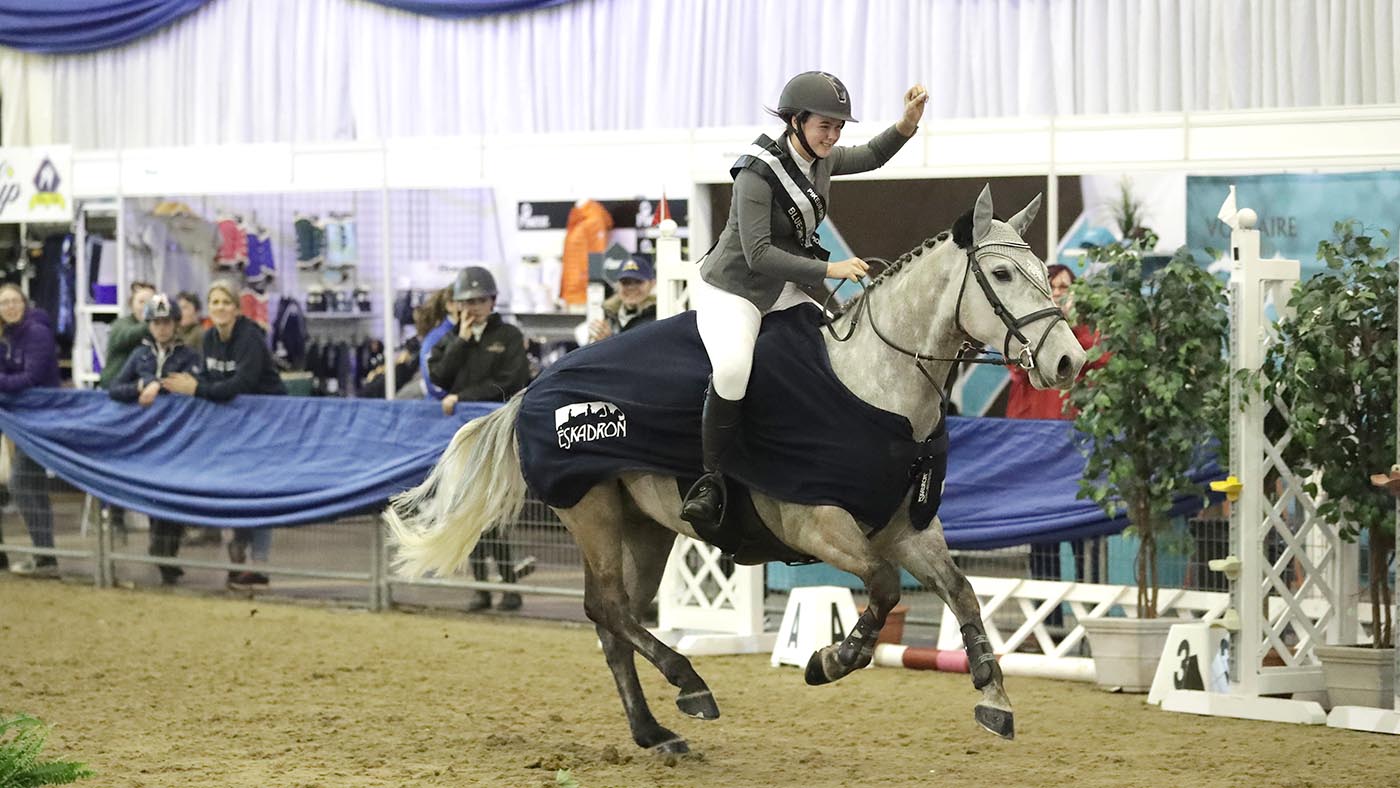 Blue Chip Winter Championships 2019 Class 29 Winner 1074 - Lord French and Neve Gill Pikeur Pony Novice Championship 0 90