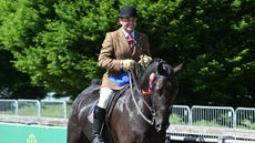 Novice-Hunter-Rob-Walker-thumb.jpg