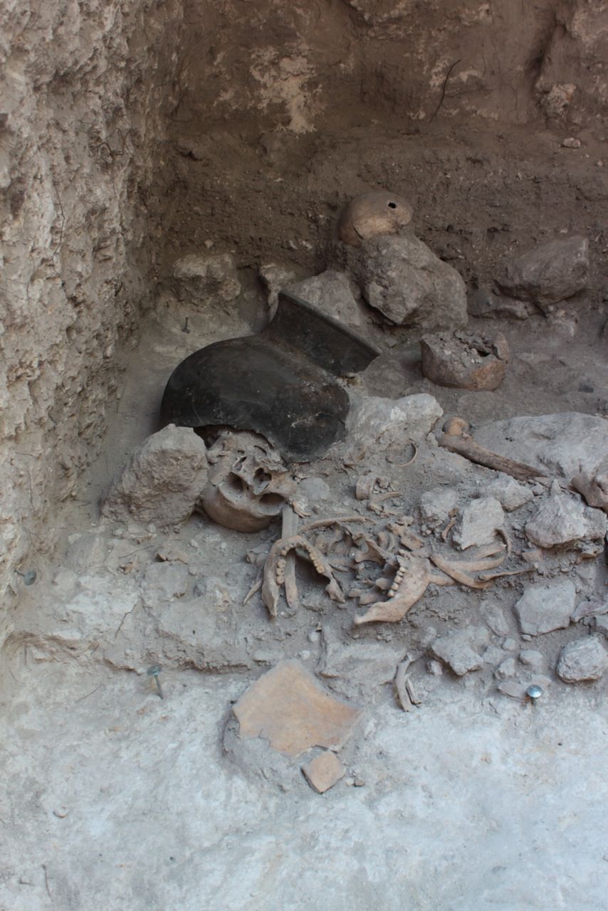 The remains of dismembered bodies in an artificial cave in the Classic Maya city Uxul in Mexico.