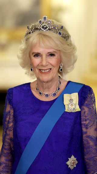 Camilla, Queen Consort attends the State Banquet in honour of President of South Africa, Cyril Ramaphosa at Buckingham Palace on November 22, 2022 in London, England. This is the first state visit hosted by the UK with King Charles III as monarch, and the first state visit here by a South African leader since 2010.