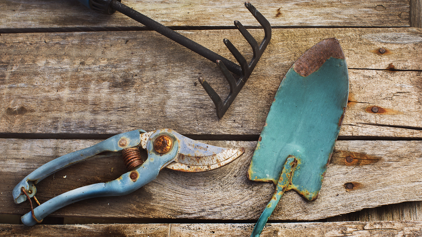 Rusty garden tools
