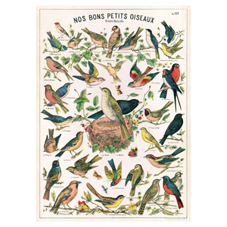A poster with a variety of birds