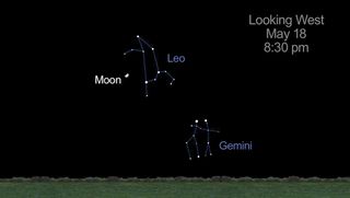 Leo Gemini Constellations