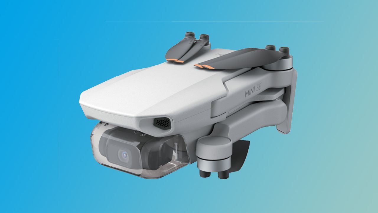 Leaked DJI Mini SE photo from Walmart.com