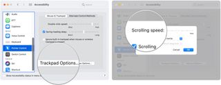 To speed up or slow down scrolling on a Mac trackpad, click on Trackpad Options. Then move the Scrolling speed slider.