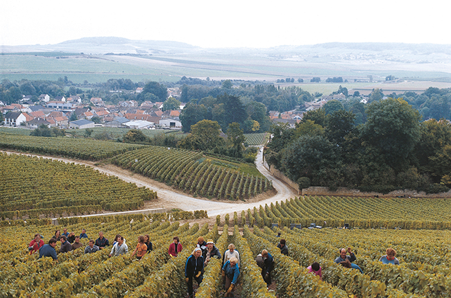 Champagne travel guide