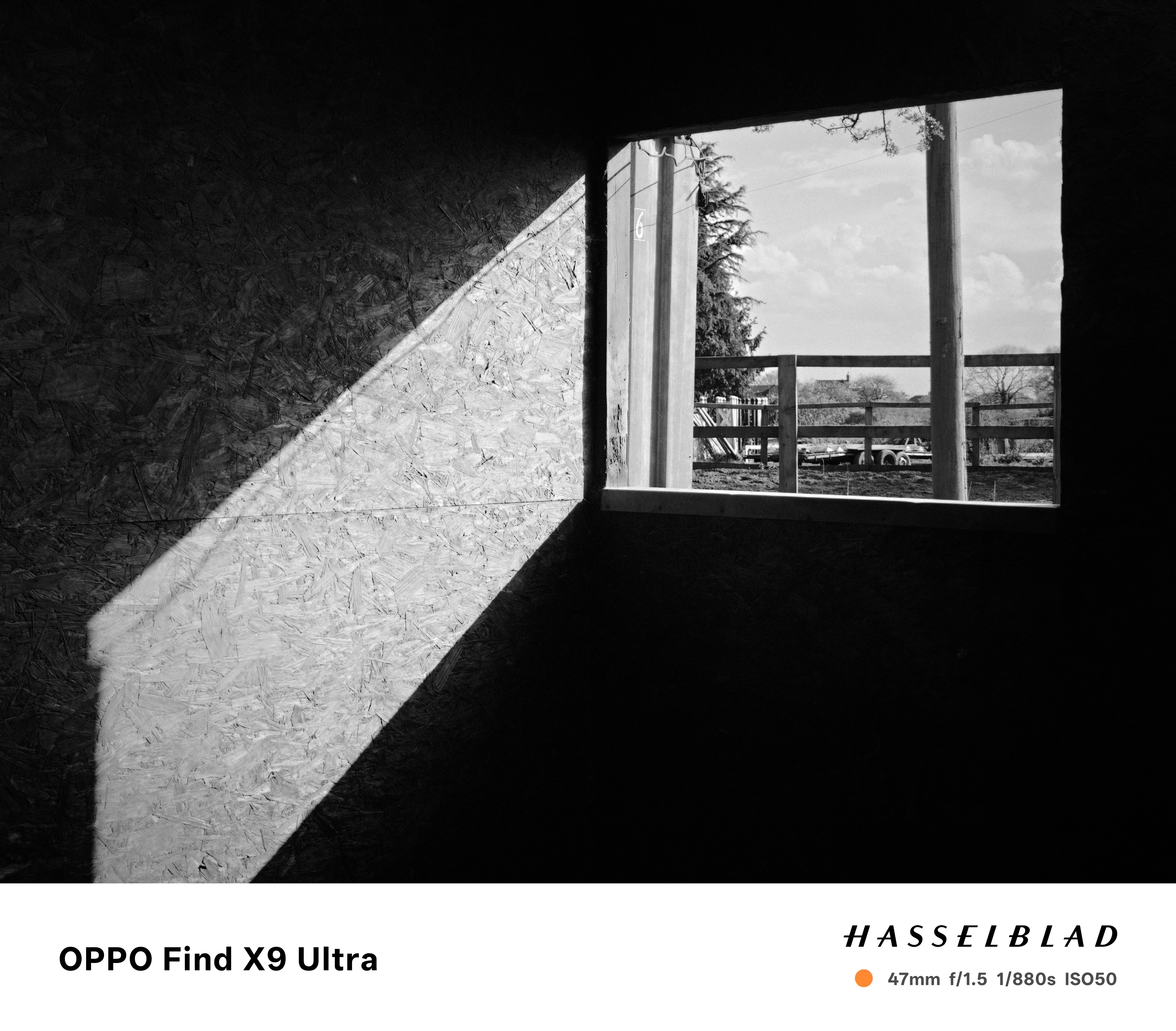 Oppo Find X9 Ultra Sample Photo