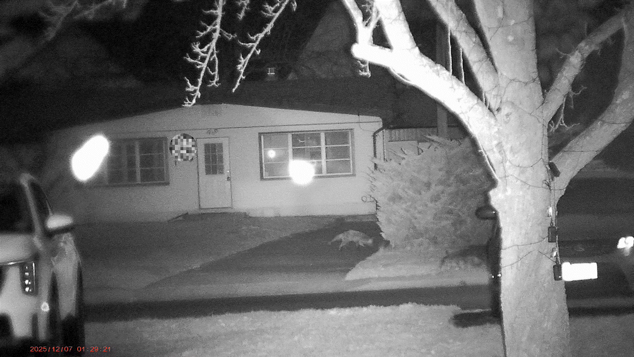 Cigman CNVPRO sample.