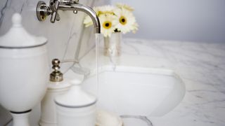 marble sink with flowers and storage items on it