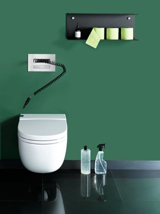 Best loo 'In-Tank Meridian Toilet', by Roca, and 'Hydroplate', by CEA