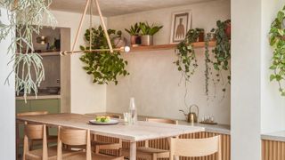 a limewash dining room with lots of hanging plants