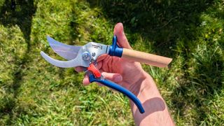 Opinel Hand Pruning Shears being tested in writer's yard