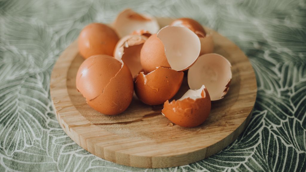 Eggshells sitting on a tabletop