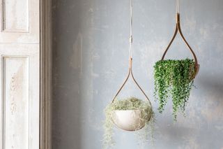 Morvah hanging planters by Tom Raffield