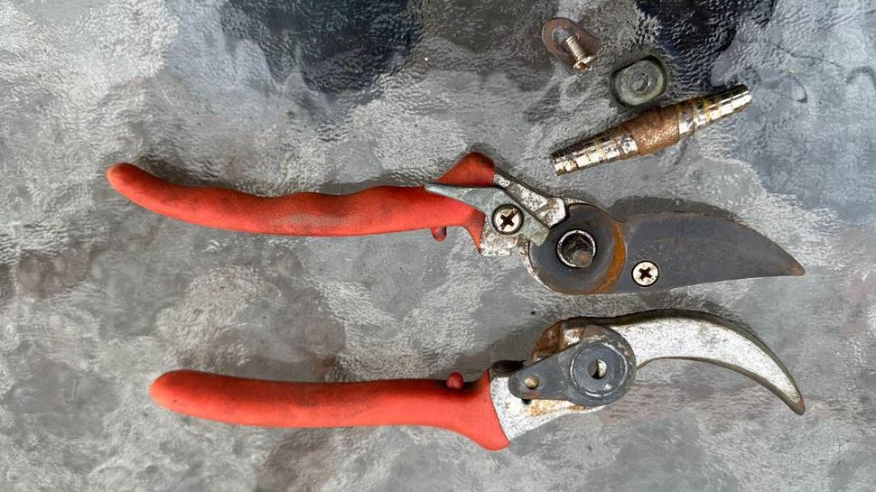 How to sharpen pruning shears in 7 simple steps Tom's Guide