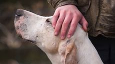 Dartmoor-65.jpg
