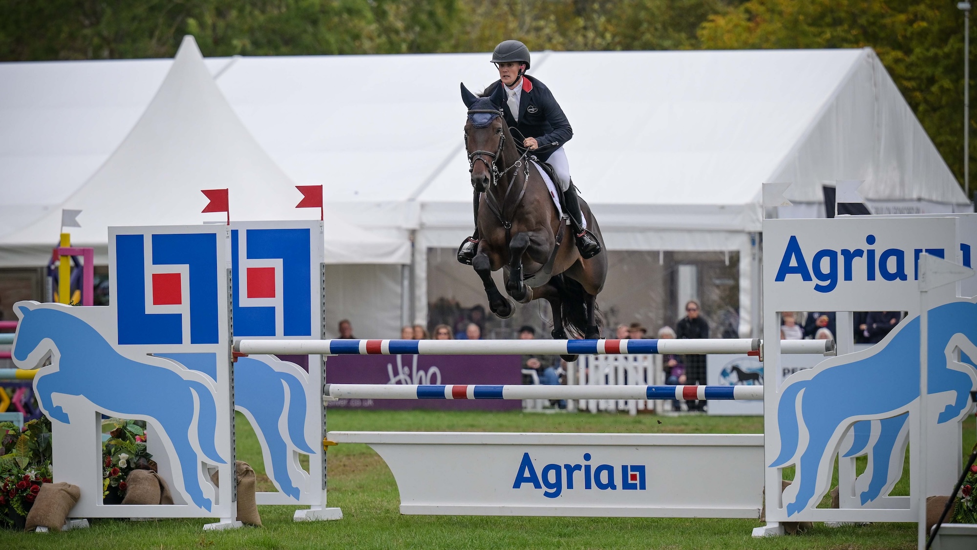 Tom McEwen (GBR) riding Brookfield Danny De Muze in CCI4*- S during the showjumping phase of the Agria Blenheim Palace International Horse Trials 16-20th September 2026