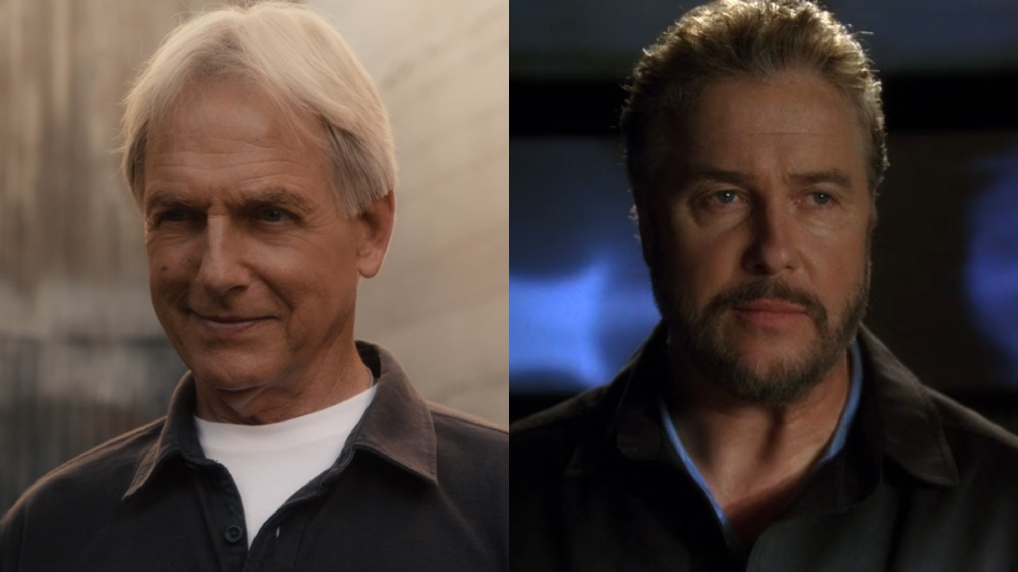 From L to R: Mark Harmon as Leroy Jethro Gibbs on NCIS, William Petersen as Gil Grissom on CSI.