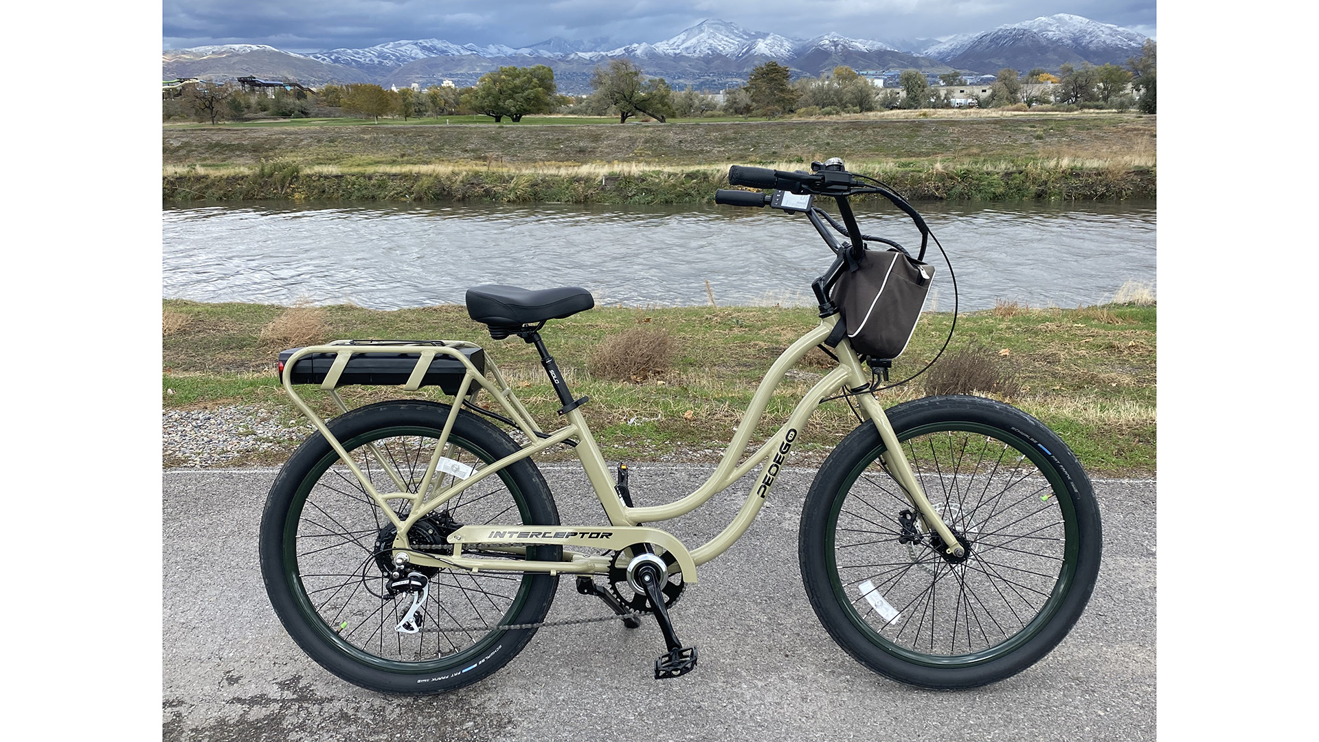 pedego interceptor