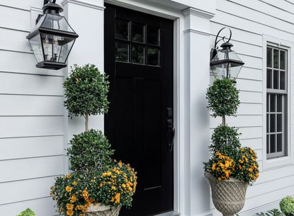 A clapboard front porch with a black door and plants either side
