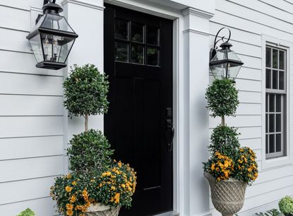 White Siding with Black Trim: Exterior Design Trends