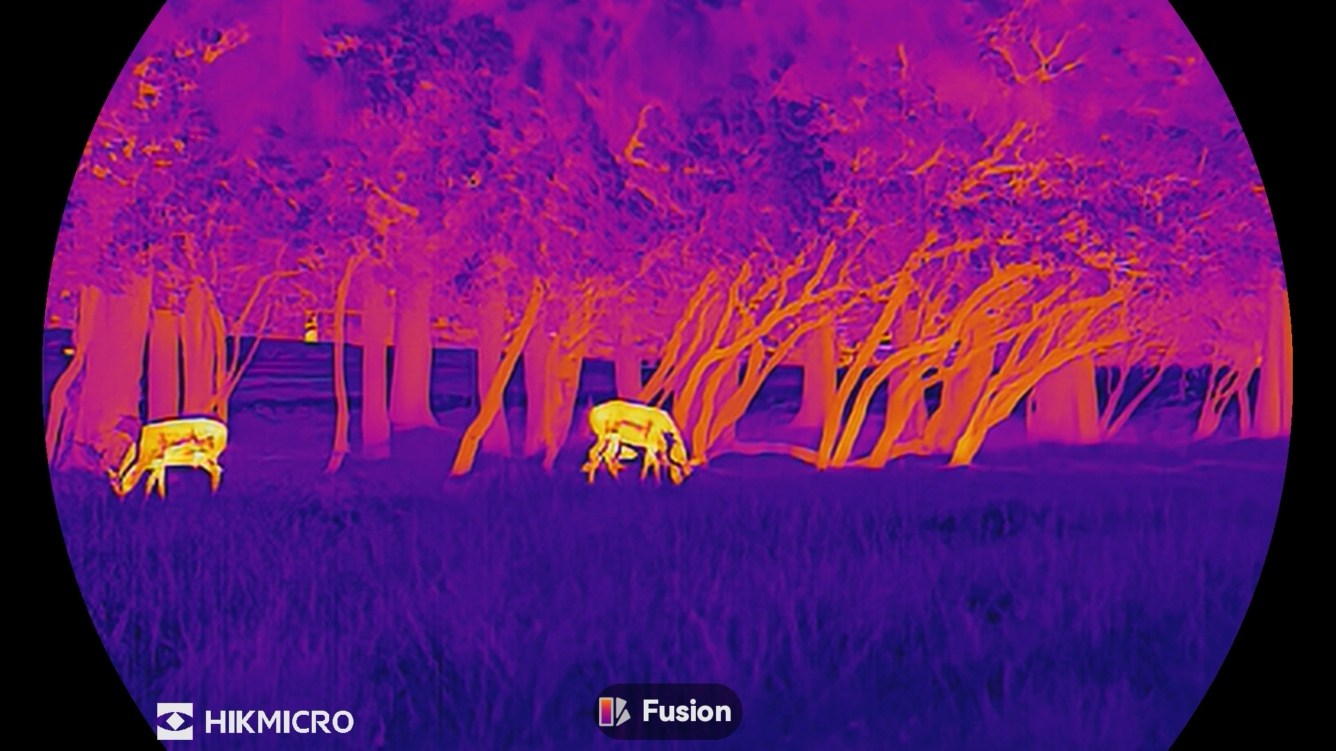 HIKMICRO Lynx 3.0 Thermal Monocular