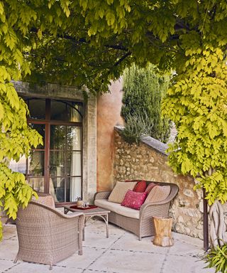 Patio with armchair and sofa and pergola above with vine
