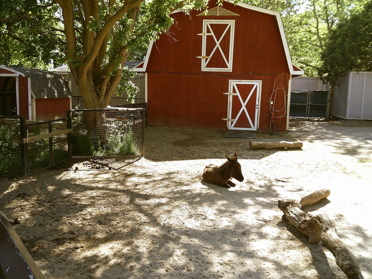 Sample image taken with the Camp Snap 2