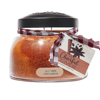 A Cheerful Giver Autumn Orchard Mama Jar Candle from QVC