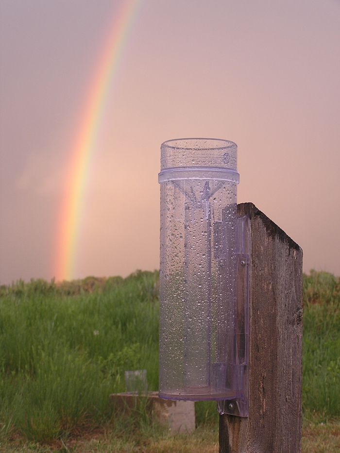 coco rain gauge, citizen science