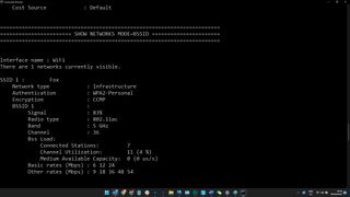 Windows 11 Command Prompt with network info displayed