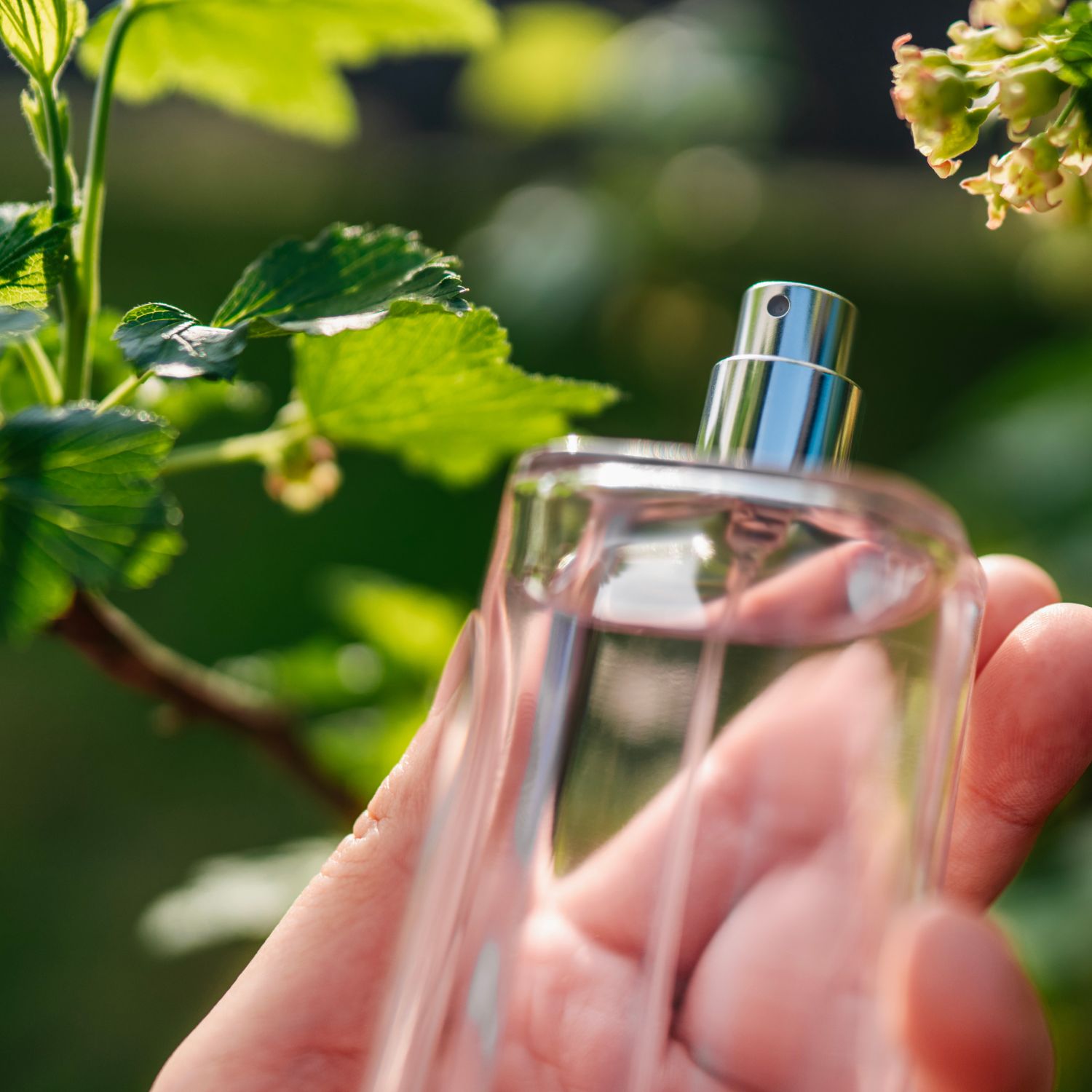  Yes, your perfume may be attracting insects—these 7 summer scents could help keep them away 