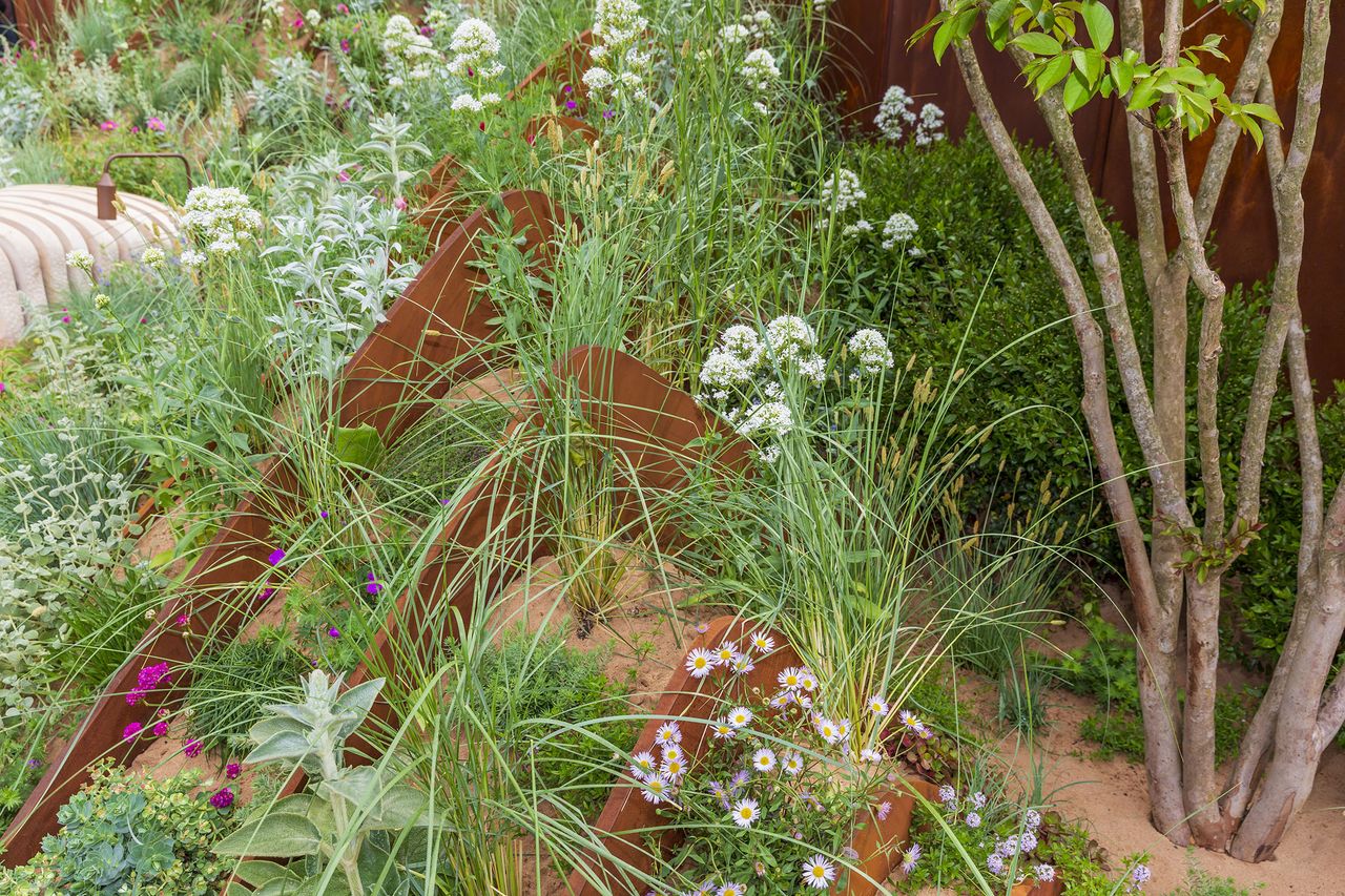 The Hospitalfield Arts Garden by Nigel Dunnett at RHS Chelsea Flower Show 2025