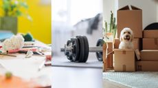 Crafting table, dumbbells sitting on yoga mat, and dog popping out of storage boxes, representing alternative ways to use a yoga mat