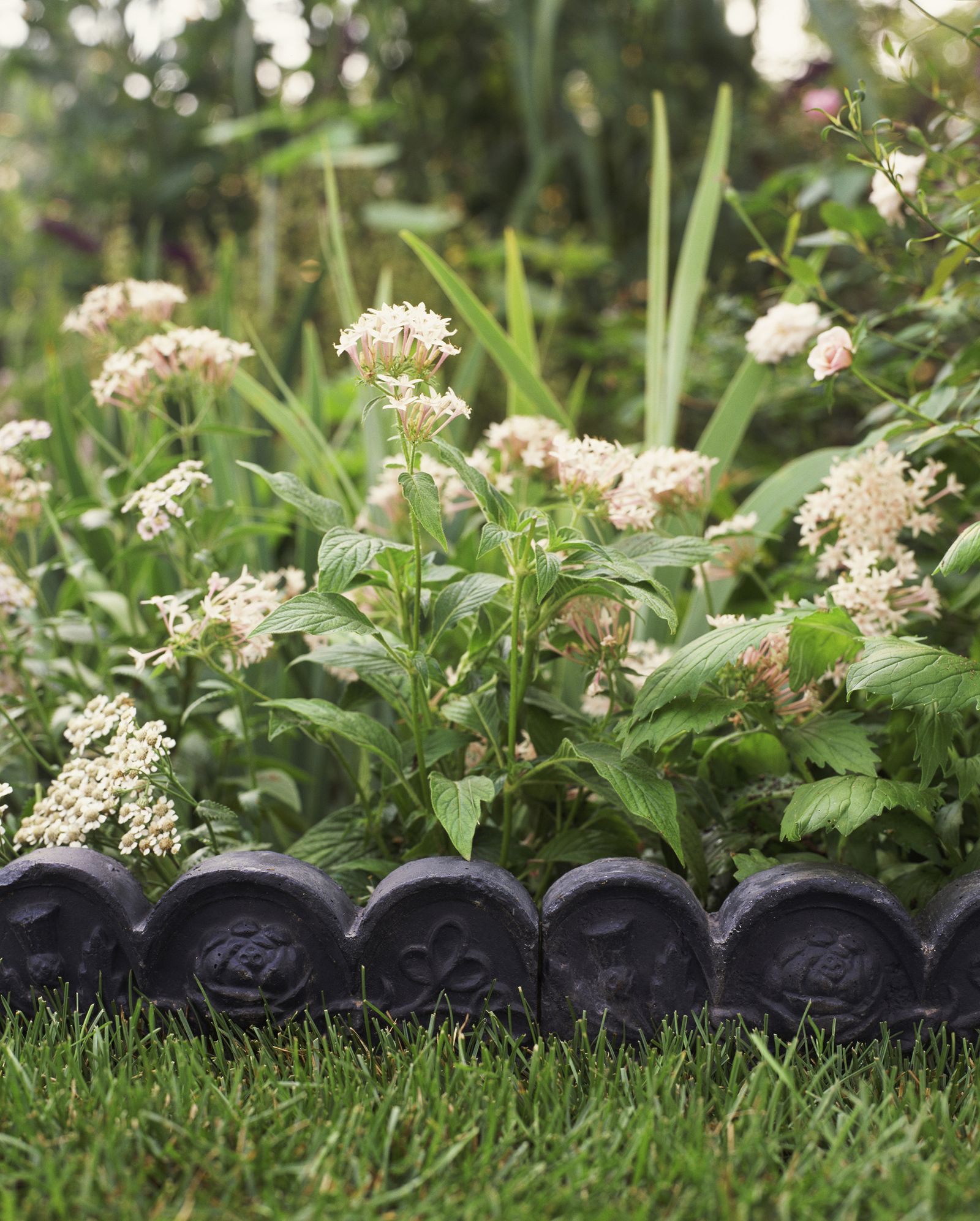 Lawn edging ideas 12 ways to frame your garden Homes & Gardens