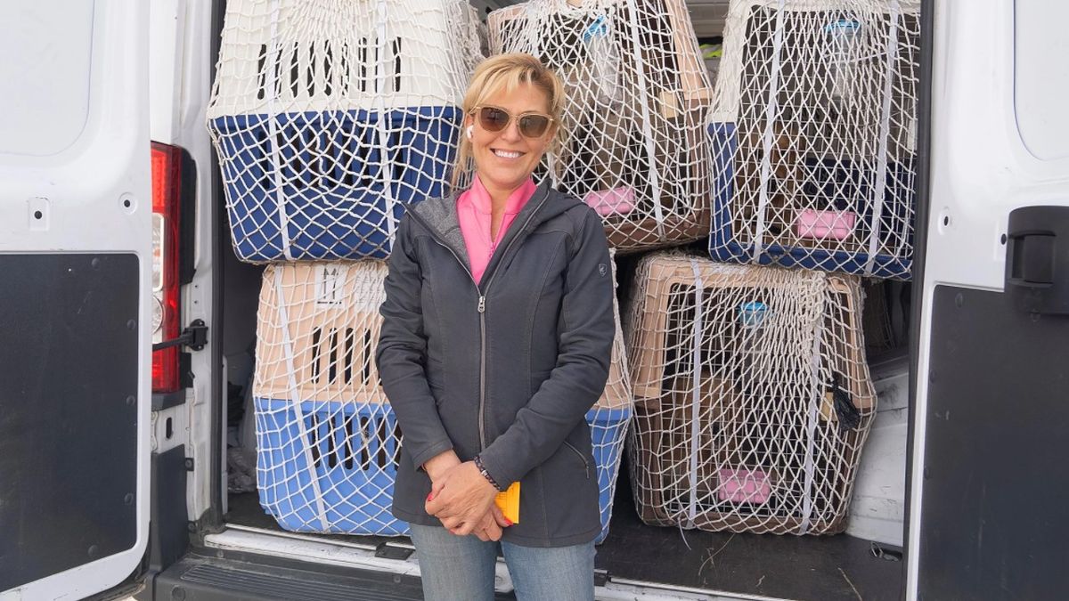 Yulin Dog Meat Festival rescue: Jill Stewart, founder of China Rescue Dogs, standing in front of dogs in transport cages getting ready to be flown to the US