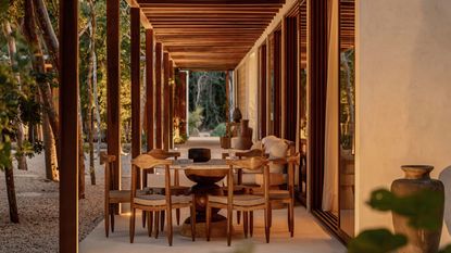 A covered outdoor dining area lit up with magical lighting at dusk with trees running along the lefthand side and a large pot just out of view on the opposite corner