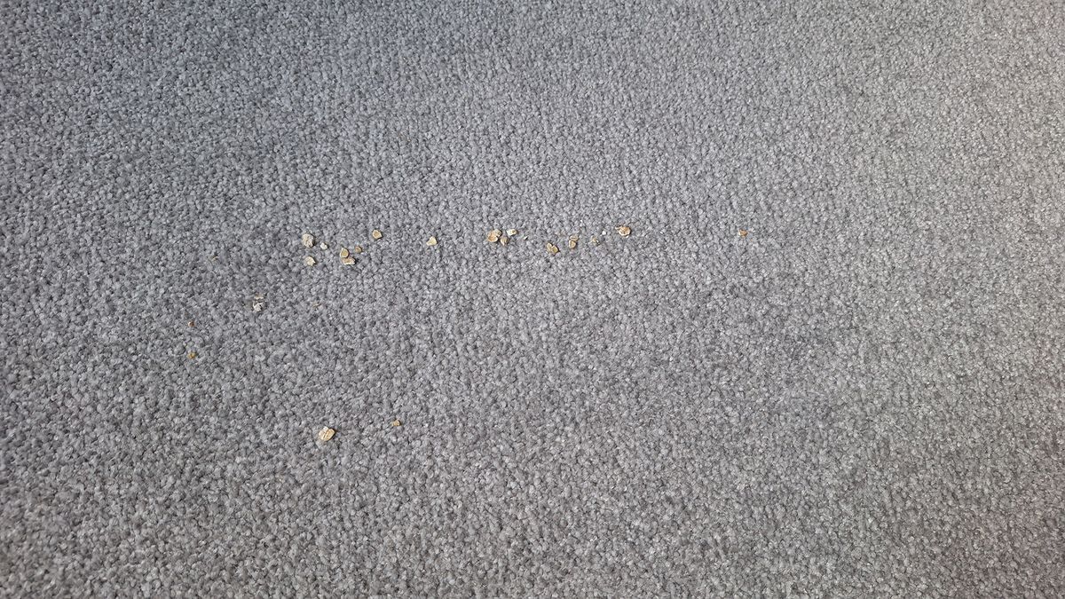 Results of suction tests using Roborock Saros Z70 on carpet