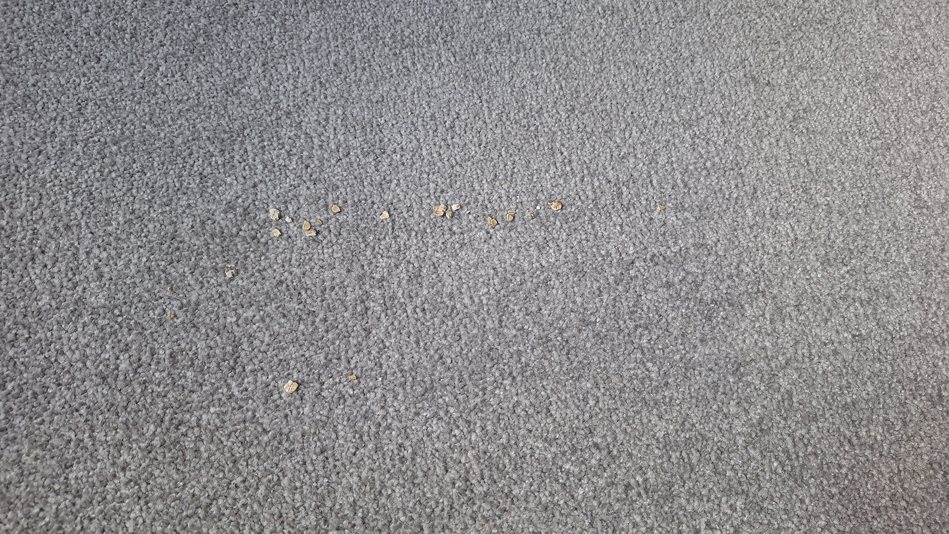 Results of suction tests using Roborock Saros Z70 on carpet