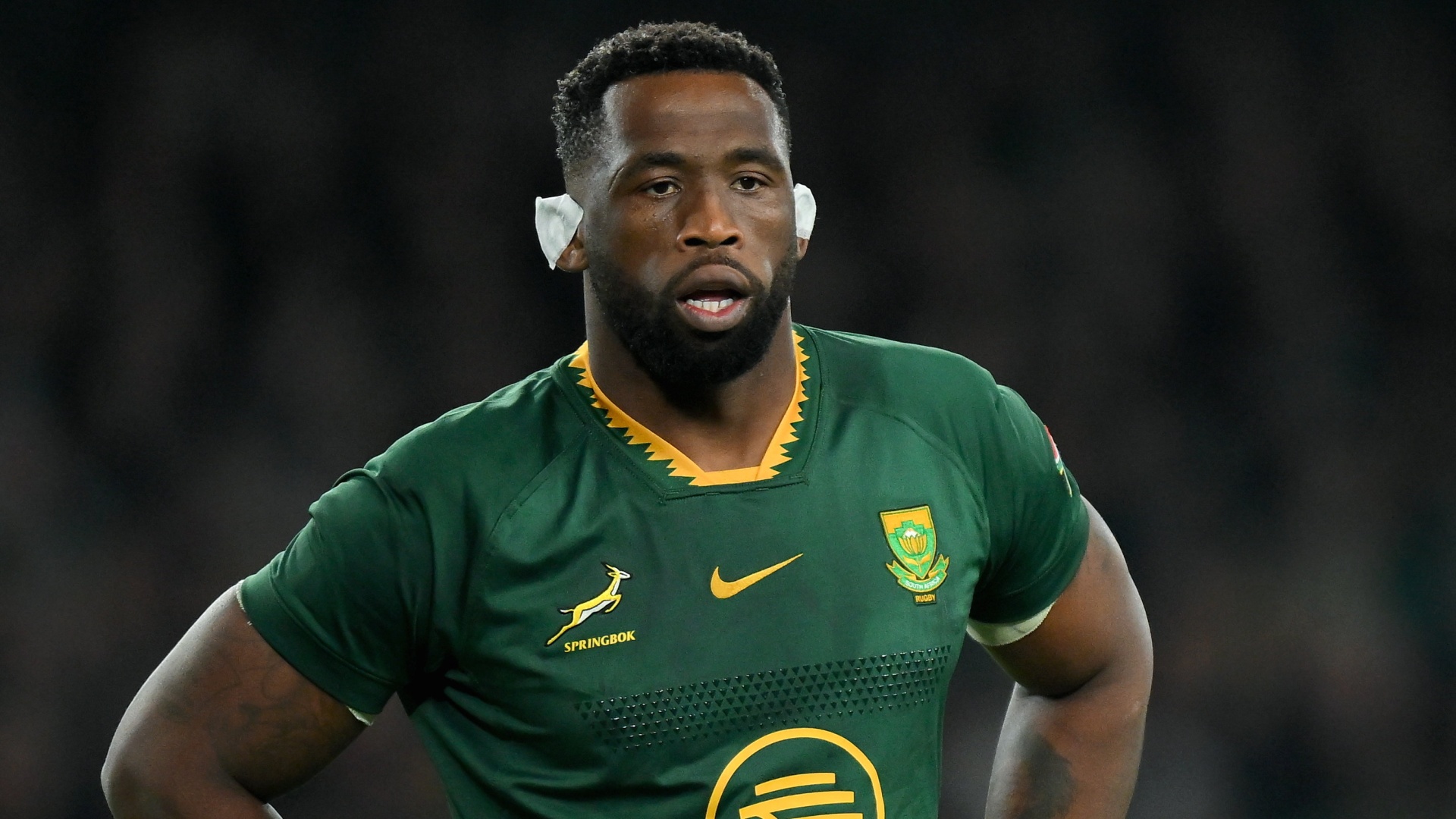 Springboks captain Siya Kolisi