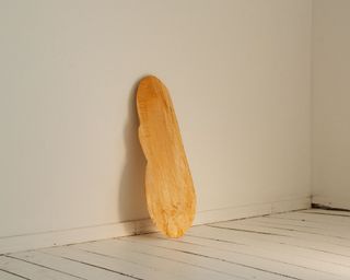 Wooden plank leaning against the wall