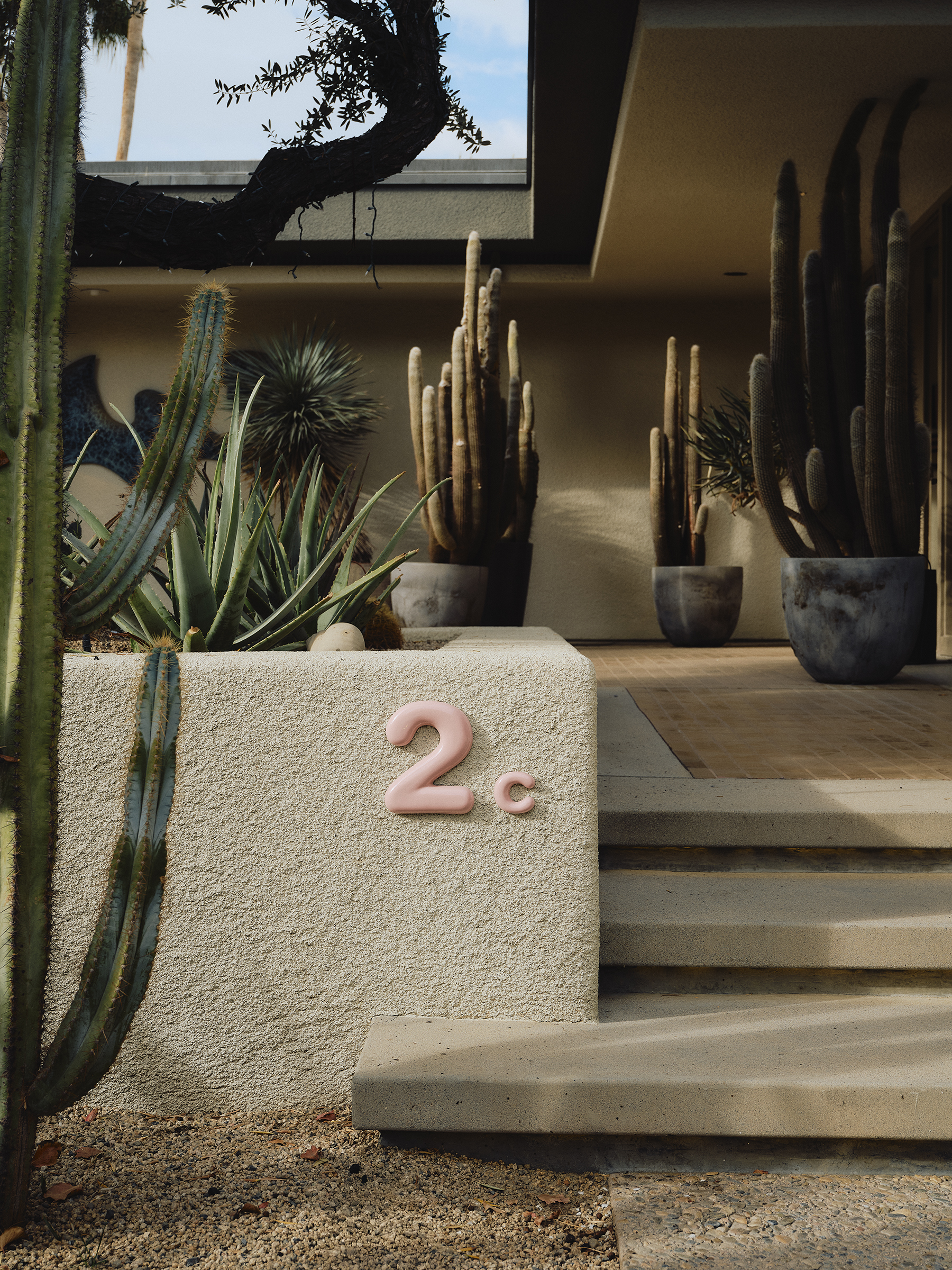 The exterior entranceway of a house that is made of stone material and has lots of large cacti around. There is a bubblegum pink house number on the front wall.