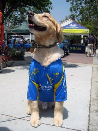 A canine companion is a fan of the Amgen Tour of California.