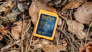 SanDisk Outdoors SDXC card