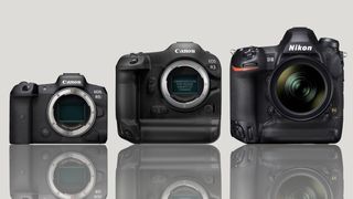 Canon EOS R3 size