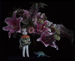 Doll,Flowers and lizard
