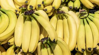 Bunches of yellow bananas.